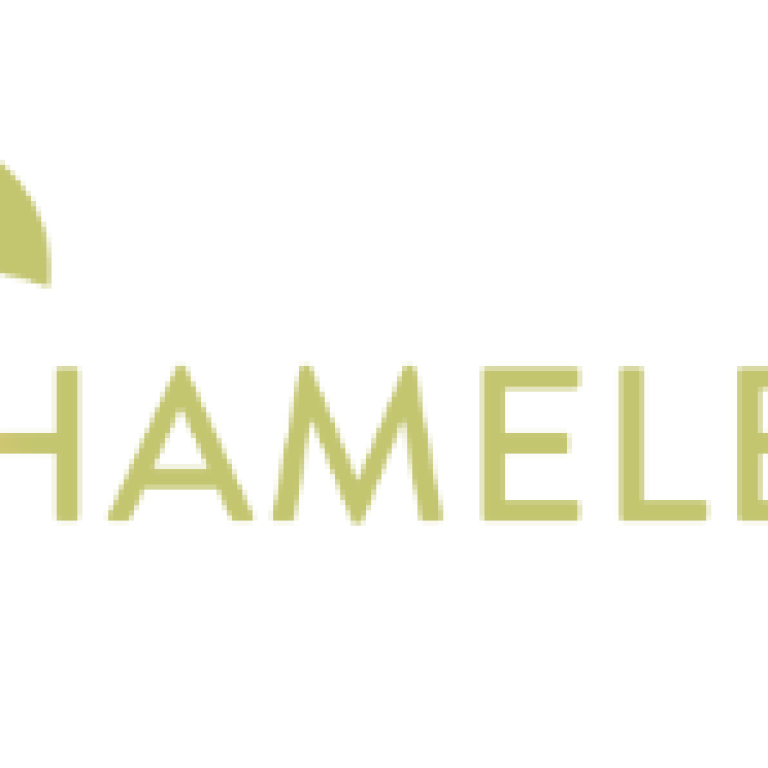 CHAMELEON LOGO